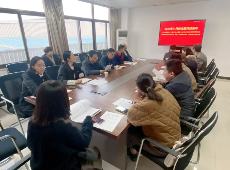 深入學(xué)習(xí)黨的二十屆三中全會(huì)精神，開(kāi)展主題黨日活動(dòng)